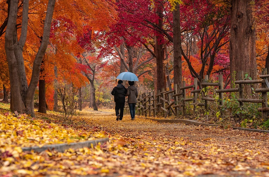 당뇨 전단계에서 가장 먼저 무너지는 장기, ‘췌장 베타세포의 침묵’