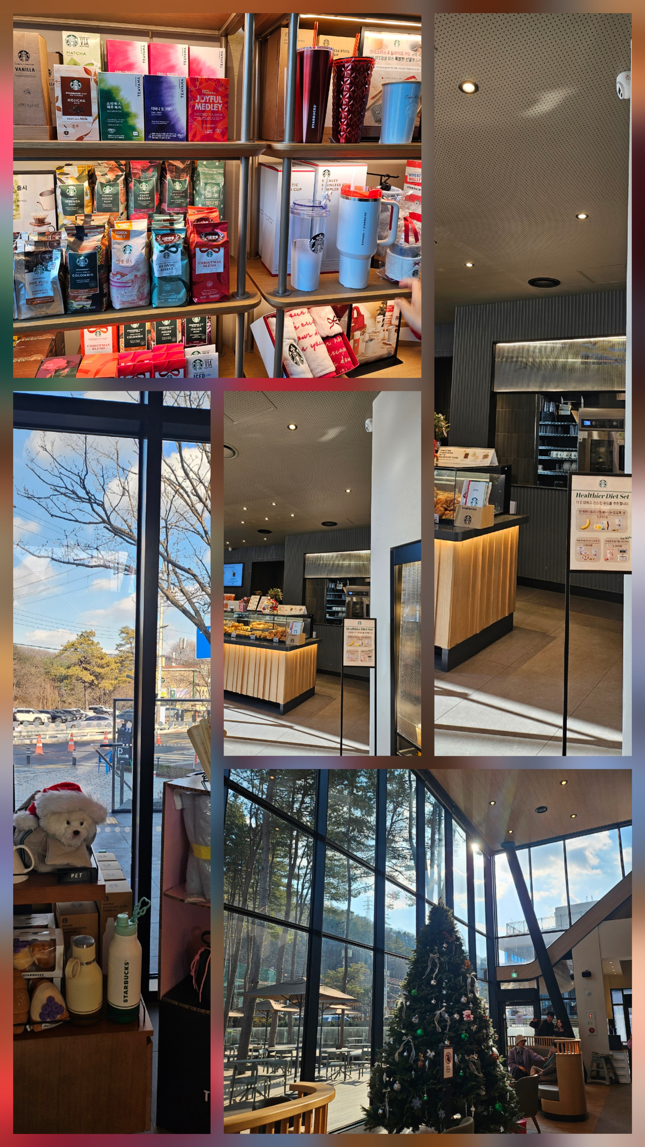 고기리 스타벅스 후기｜숲속에 숨은 감성 카페, 꼭 가봐야 할 이유