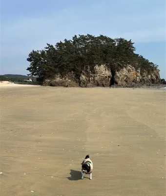 원산도 가볼만한곳 베스트10 명소_2