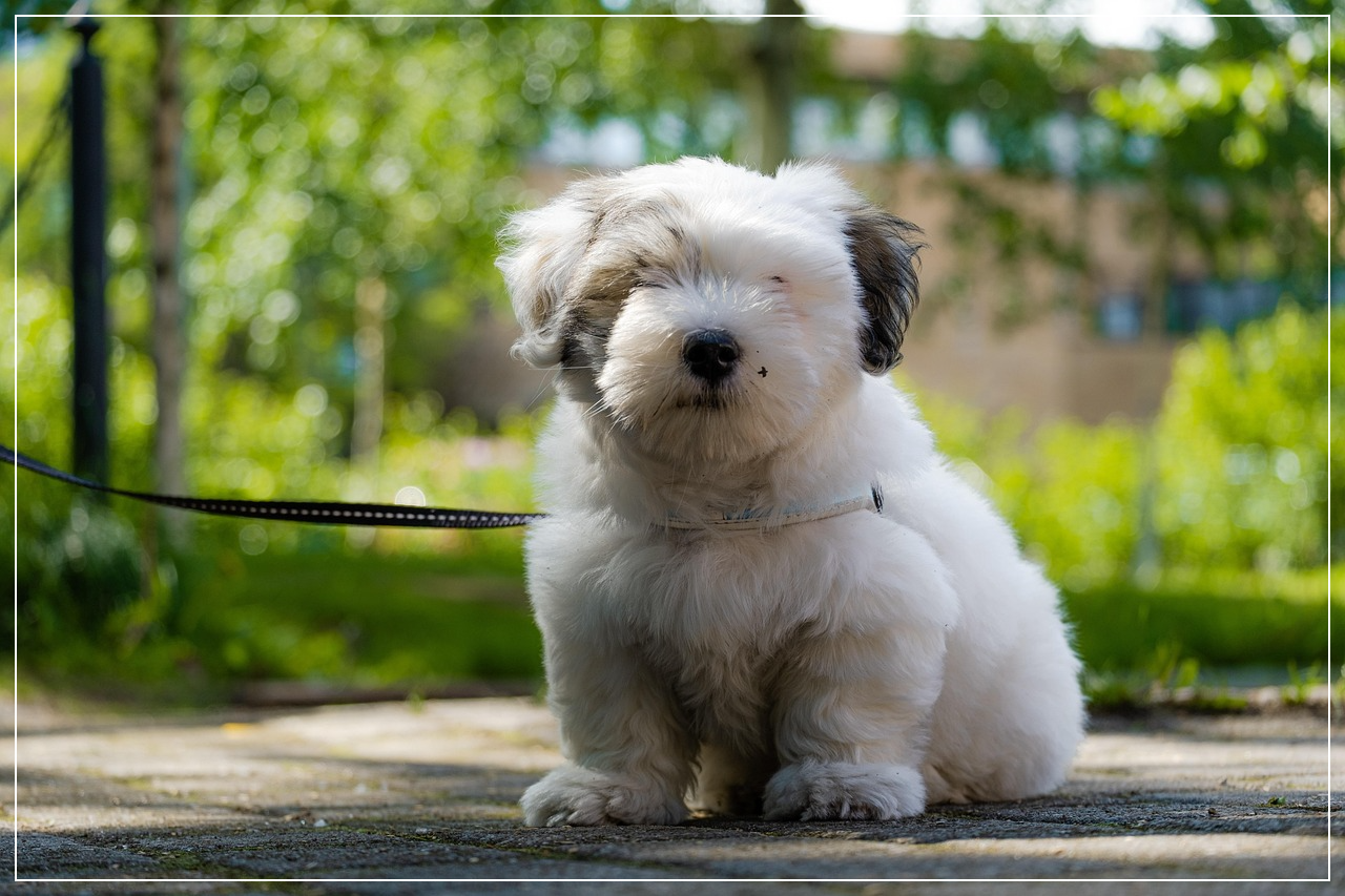 절대 피해야 할 산책 시간대