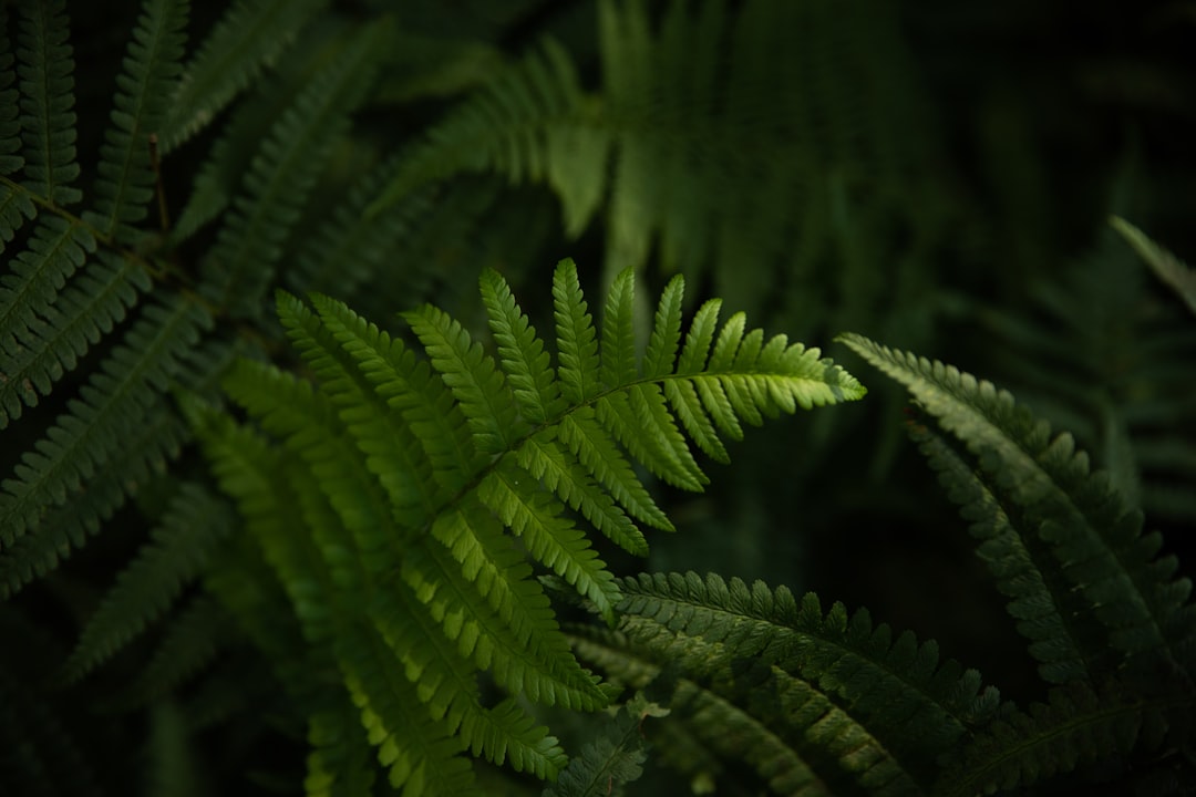 Sustainability