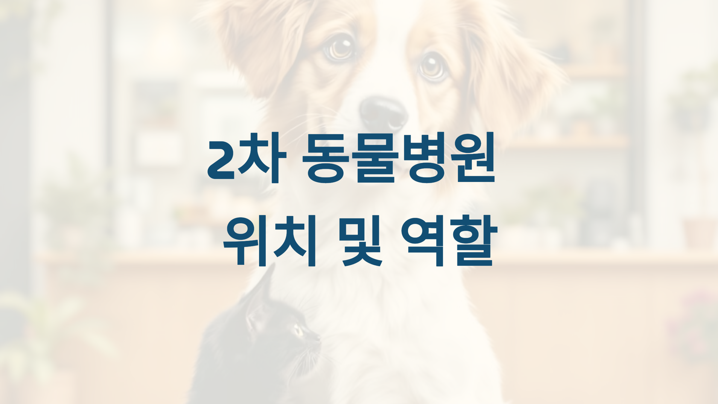 🐶 2차 동물병원이란? 위치 및 역할 총정리 🏥