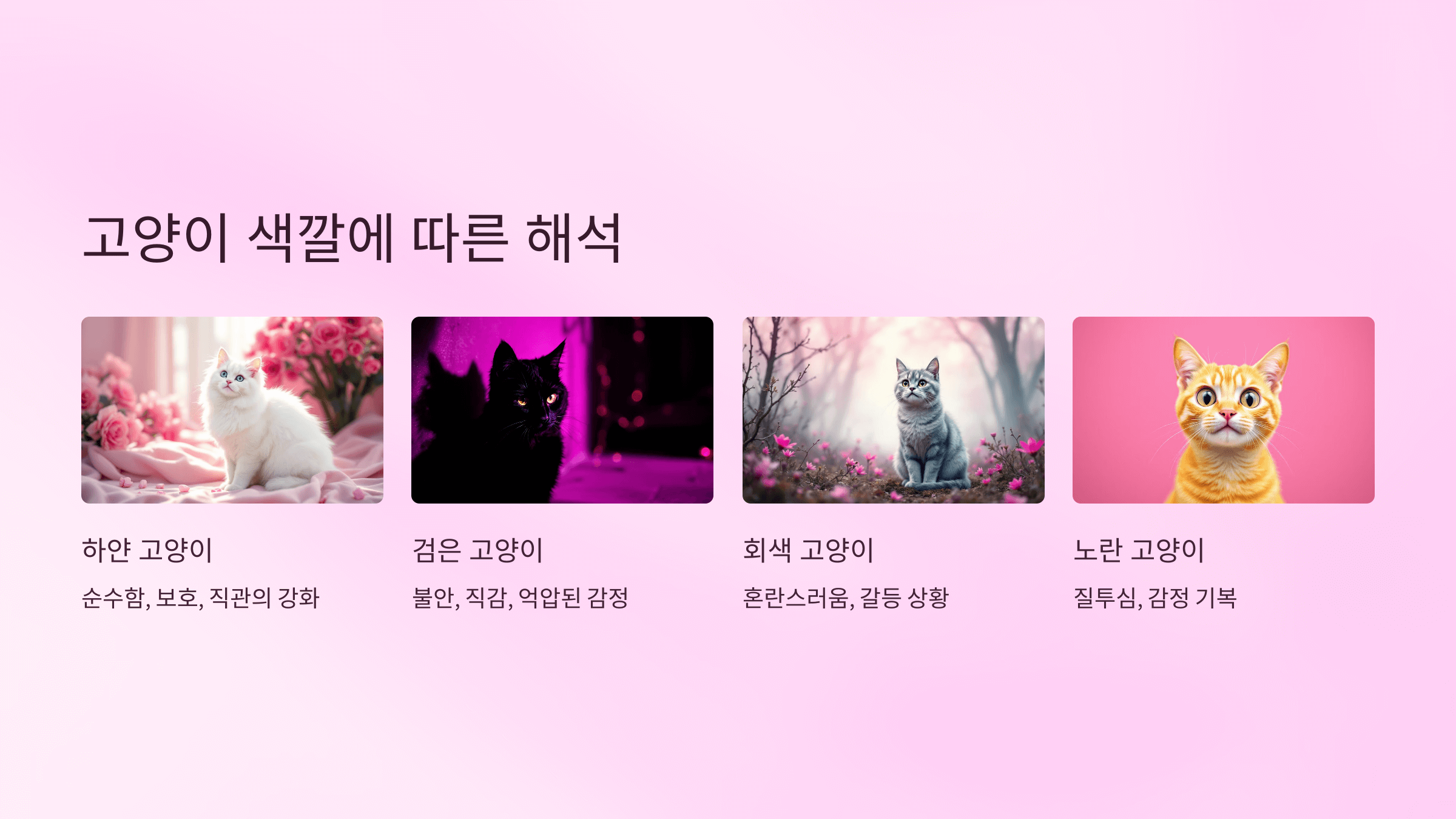 고양이 사진입니다.