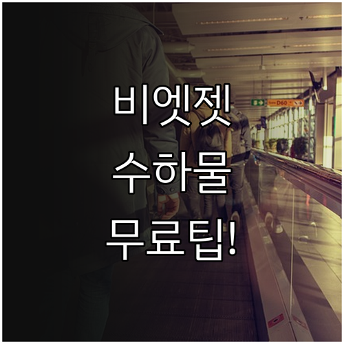 비엣젯항공 위탁수하물 추가 요금 절약..