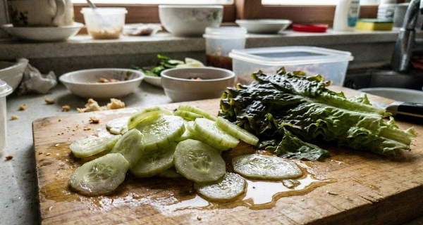 오이 상추 등 채소 사진