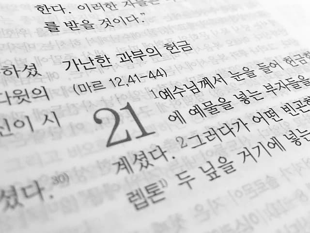 한국어 속담과 관용구의 유래와 실사용 예시