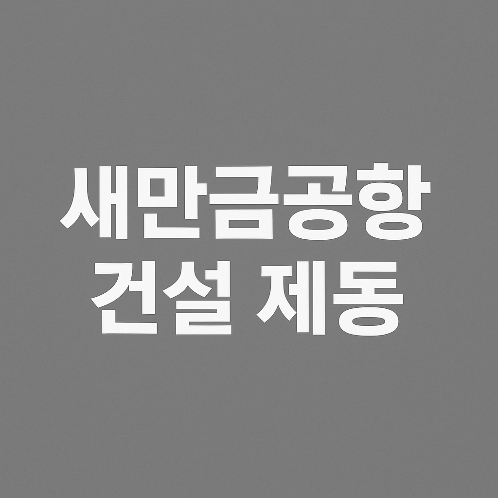 새만금공항 건설제동