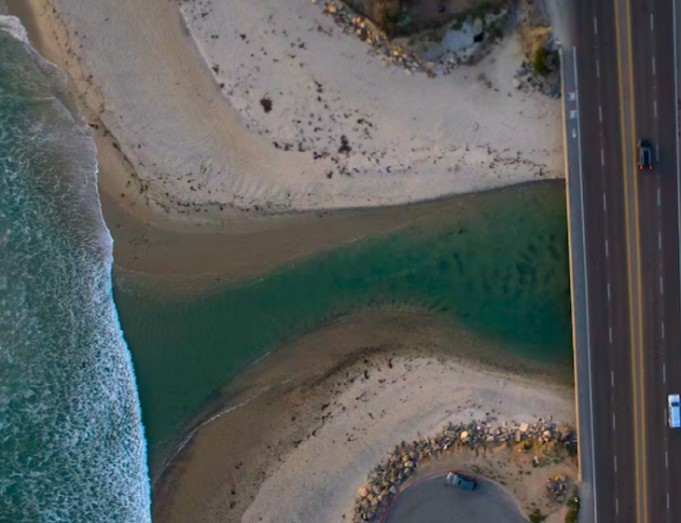 장어 효능 칼로리