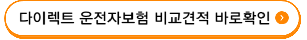 현대해상 다이렉트 운전자보험