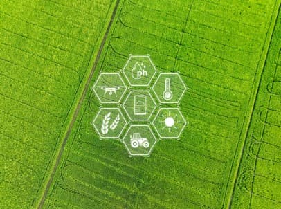 스마트팜의 경제적 잠재력: 환경과 경제를 동시에