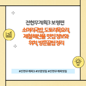 전현무계획3 보령편