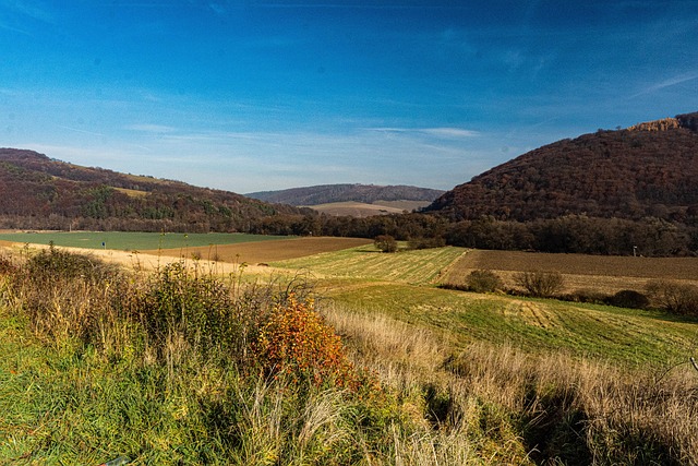 농지취득자격증명 요건