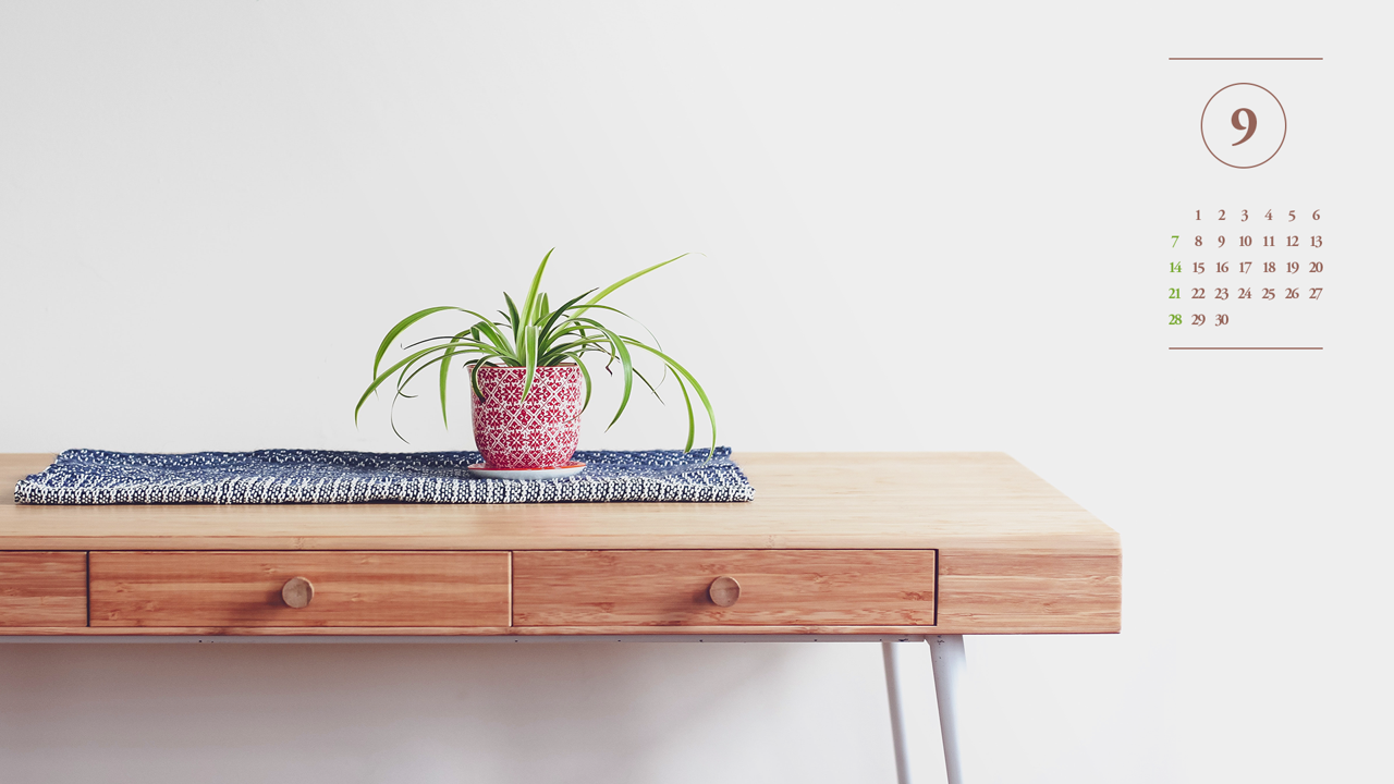 11 테이블 위에 난초 A - 2025년9월 노트북배경화면