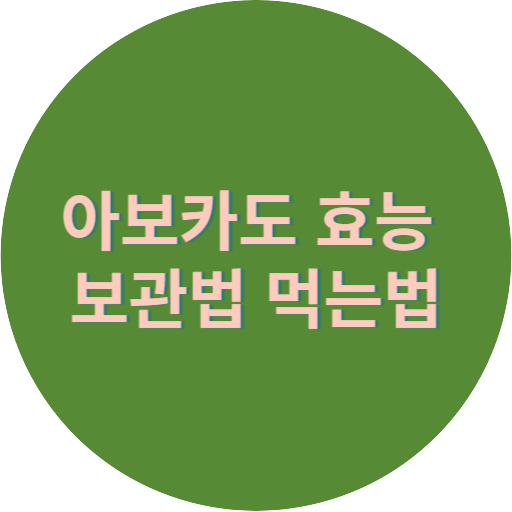 아보카도 효능 보관법 먹는법