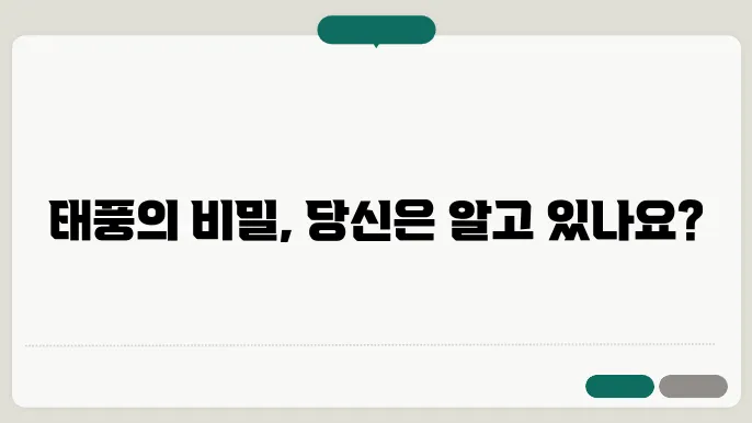 태풍의 영향