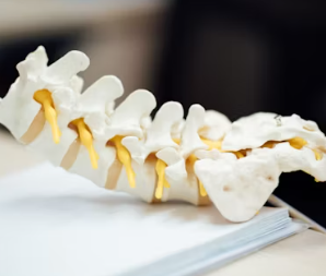 만성 요통 진단기준 치료법 합병증 관리