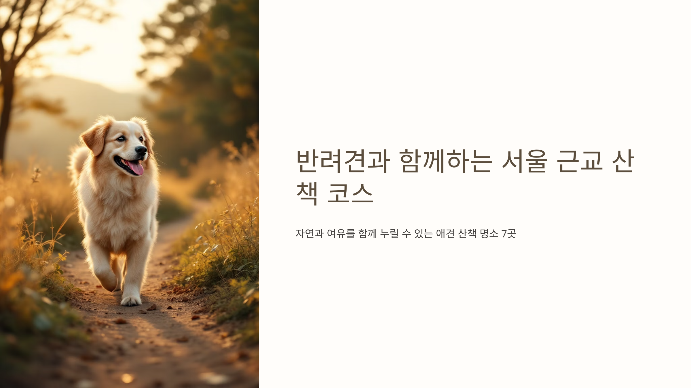 서울 근교 애견 산책 코스 BEST 7