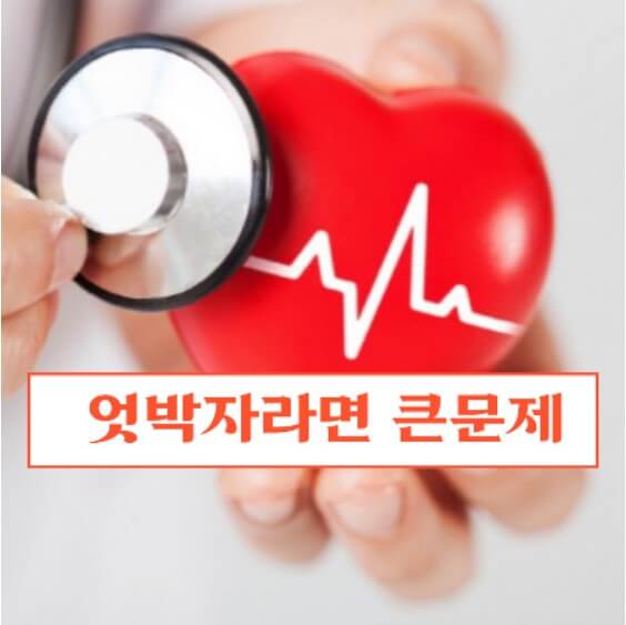 맥박수-정상범위