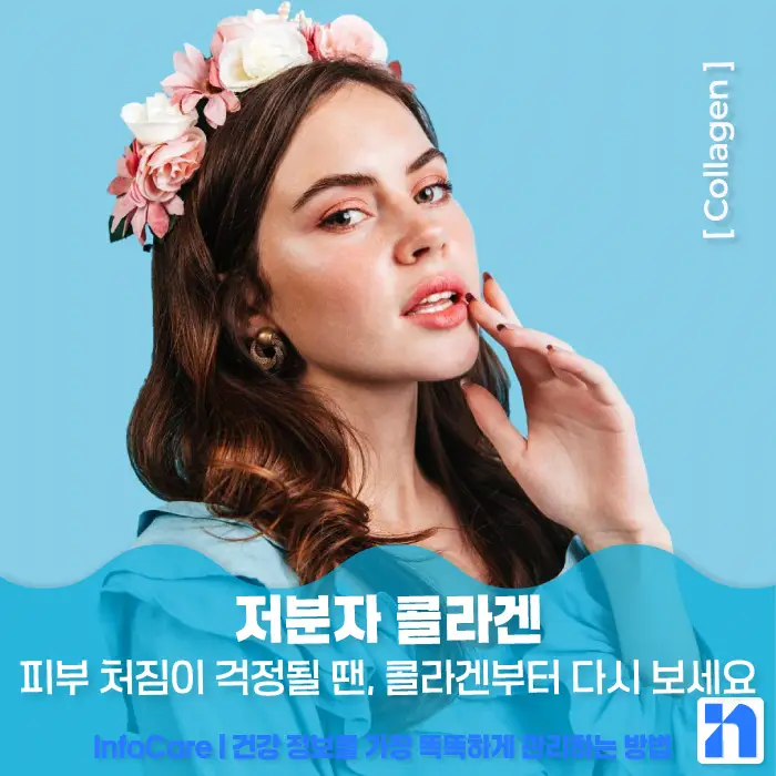 저분자 콜라겐 효능, 흡수율, 섭취방법, 먹는 시간