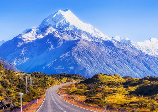 마운트 쿡 데이 투어 &amp; 레이크 테카포 투어 신청하기
