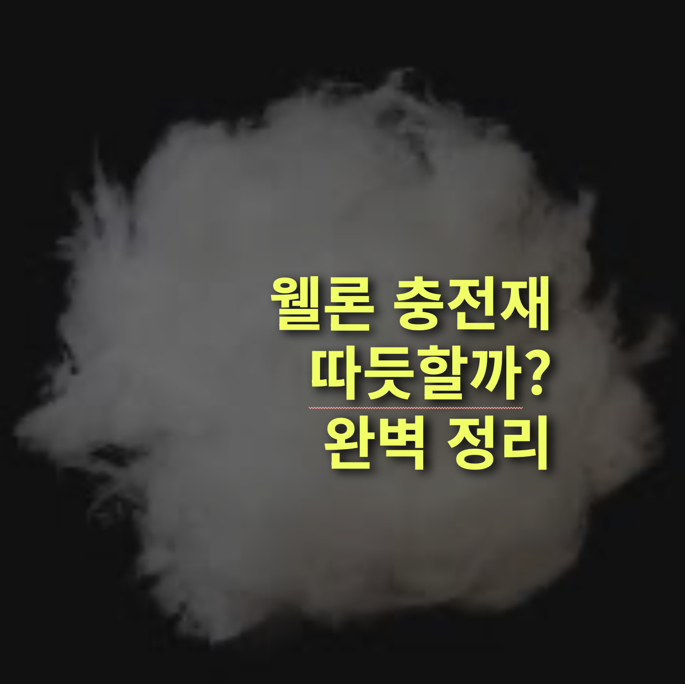 웰론 패딩, 따듯할까? 다운 패딩과 비교. 거위털, 오리털.