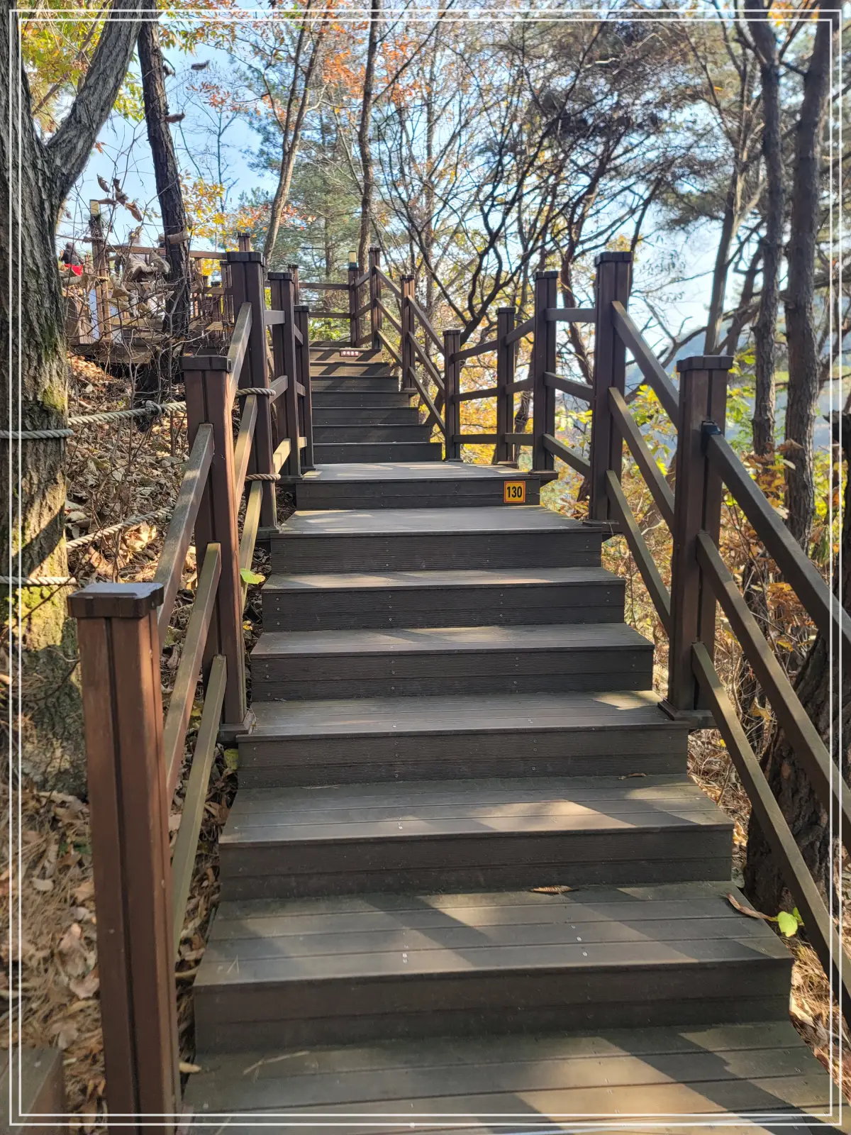 소금산-출렁다리-데크계단-130