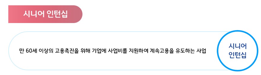 시니어인턴십 안내