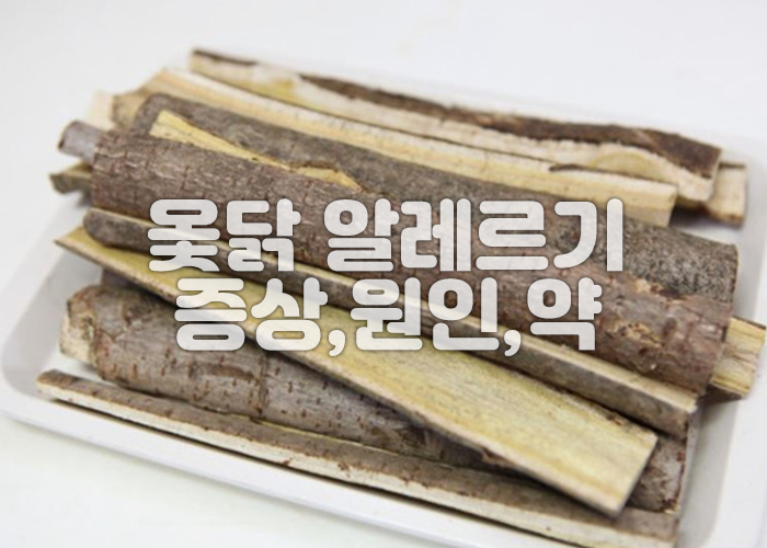 옻나무 껍질
