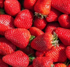 류마티스 관절염에 좋은 음식 영양제 식단