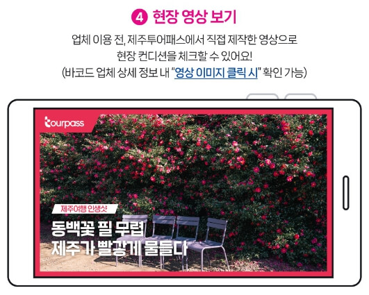 제주투어패스 이용방법