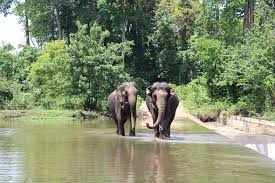 욕던 국립공원 (Yok Don National Park) 사진 (출처:Travelviet )