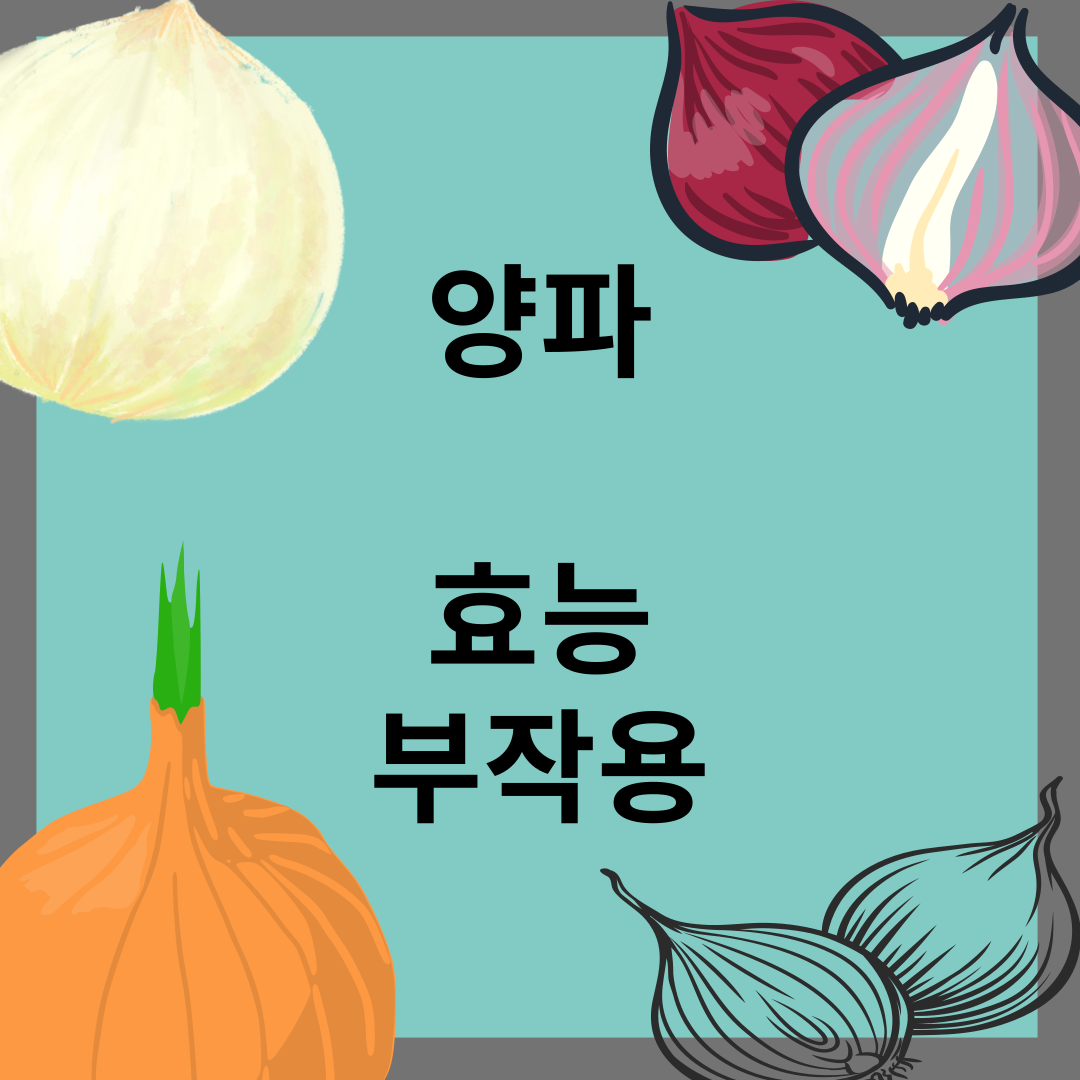 양파의 효능과 부작용