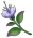 파디사라