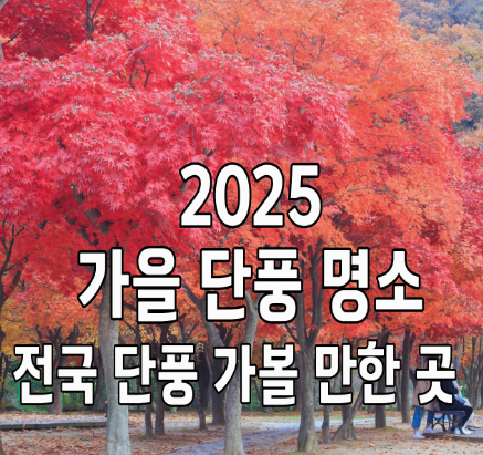 전국-가을-단풍-명소