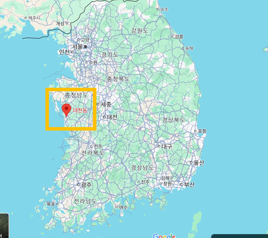 충청동 보령 대천동