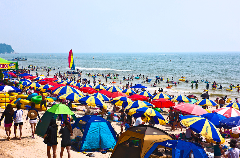 보령 모바일 스탬프 투어 참여 방법