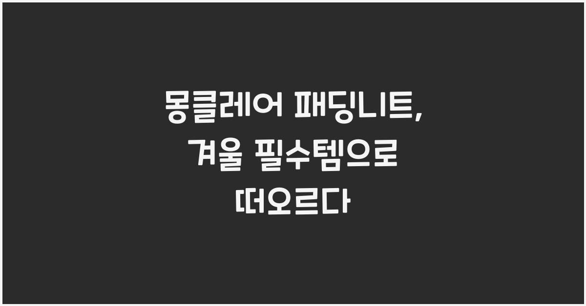 몽클레어 패딩니트