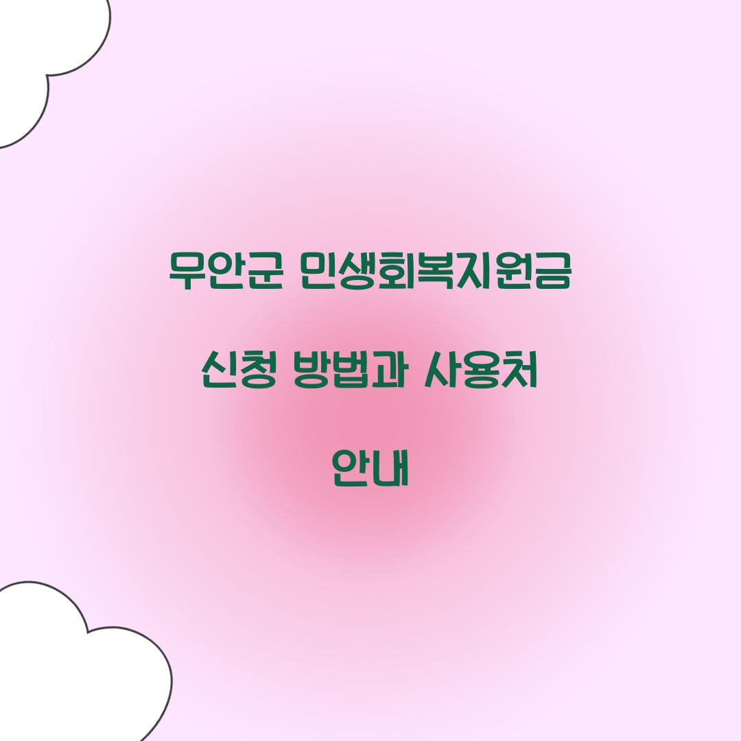 무안군 민생회복지원금