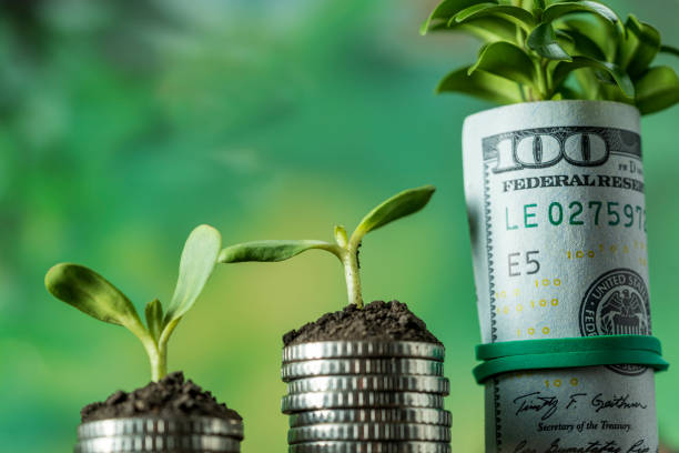 설명절 정부지원금이란?