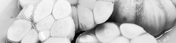 마늘장아찌 황금비율