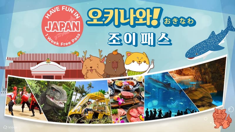 오키나와 조이 패스 예매 할인 일본 절약여행