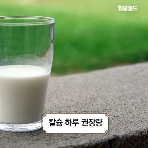 칼슘 하루 권장량