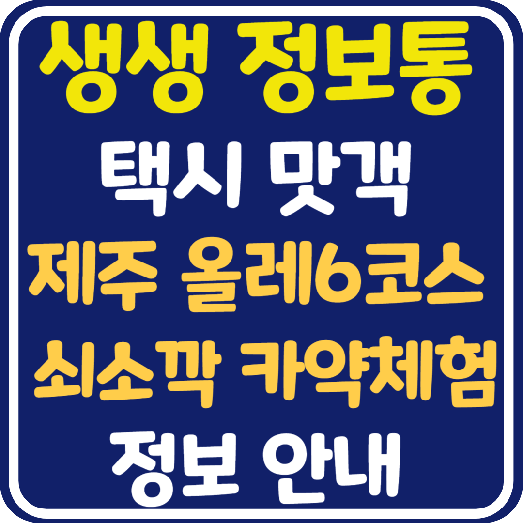 생생 정보통 제주 올레6코스, 쇠소깍 카약 체험 정보 안내 : 택시맛객