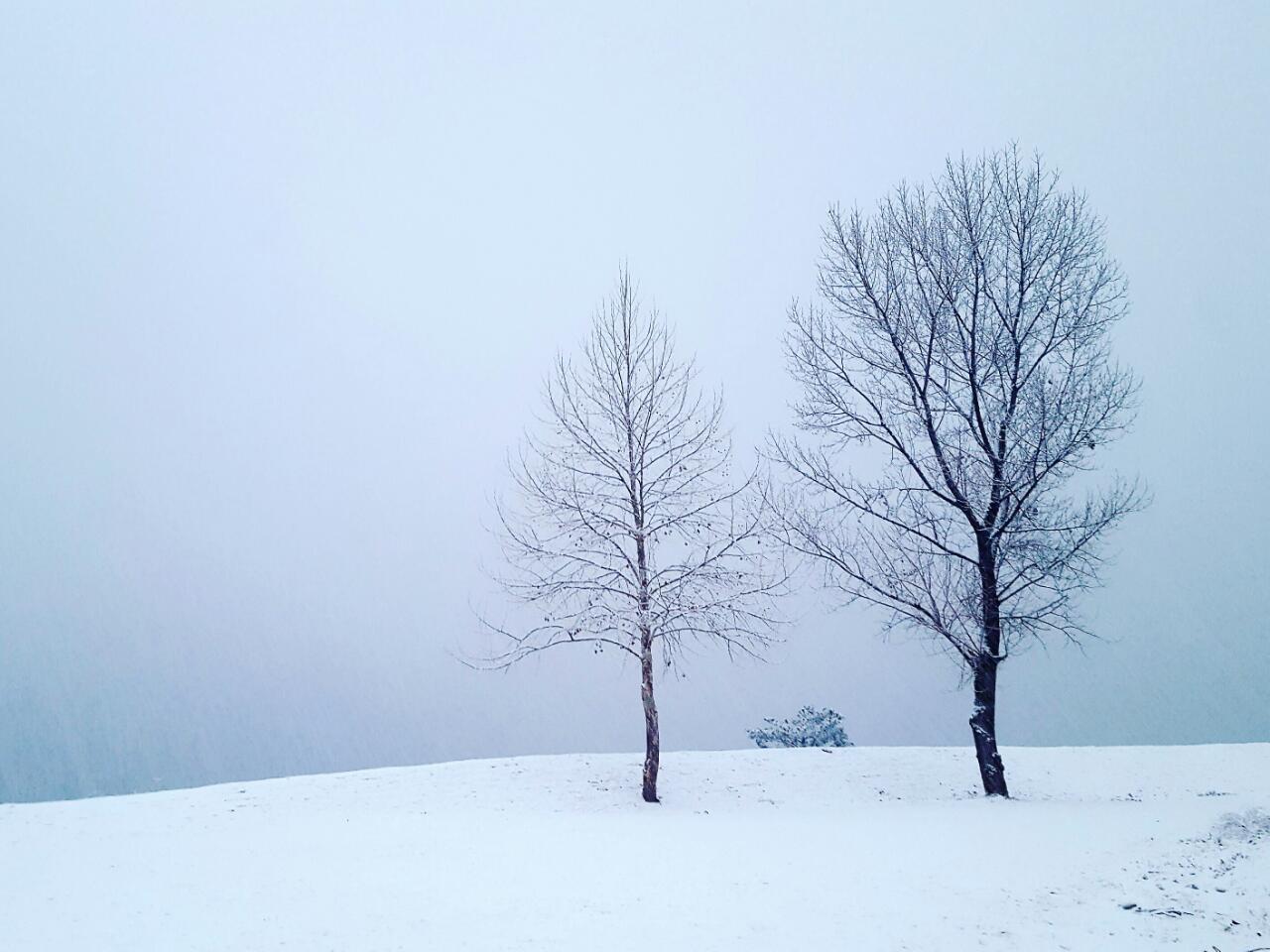 캠핑의 성지, 자라섬캠핑장 소개