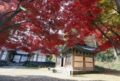 가을에 꼭 가야하는 단풍이 유명한곳 BEST 5곳