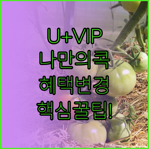 유플러스 VIP 혜택 나만의 콕 카테..