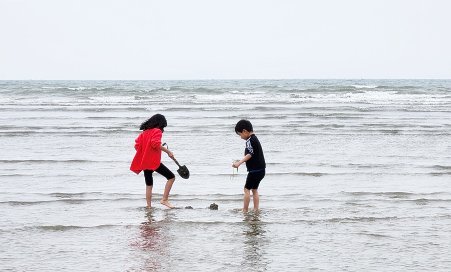 바다에 가서 뛰어노는 쿠앙이 쿠웅이