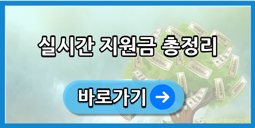 실시간 지원금 총정리