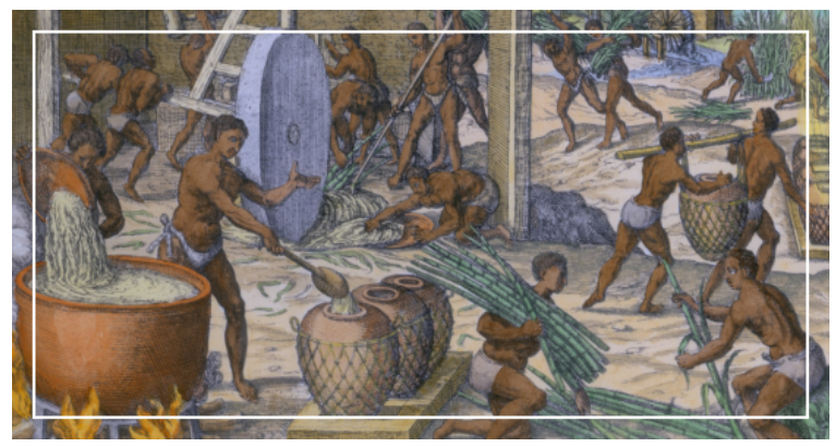 설탕과 노예무역