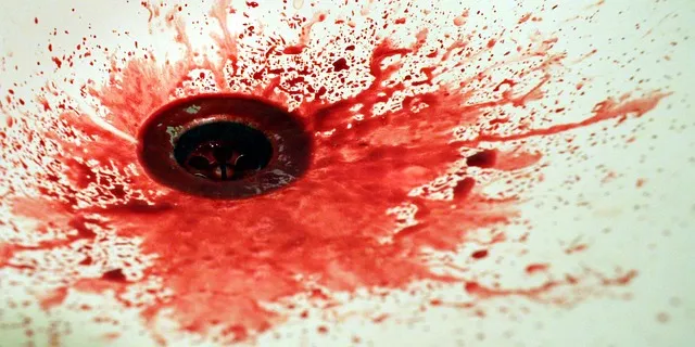 병풀 상처연고 상처 치유 피부 재생 효능과 사용법_8